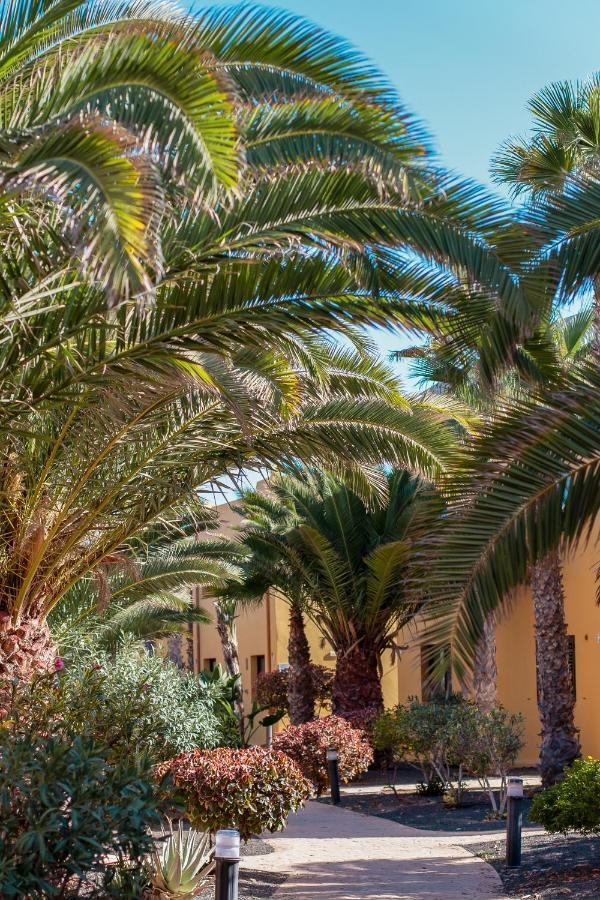 Fuerteventura Apartments Tamarindo 1 Corralejo Exteriér fotografie