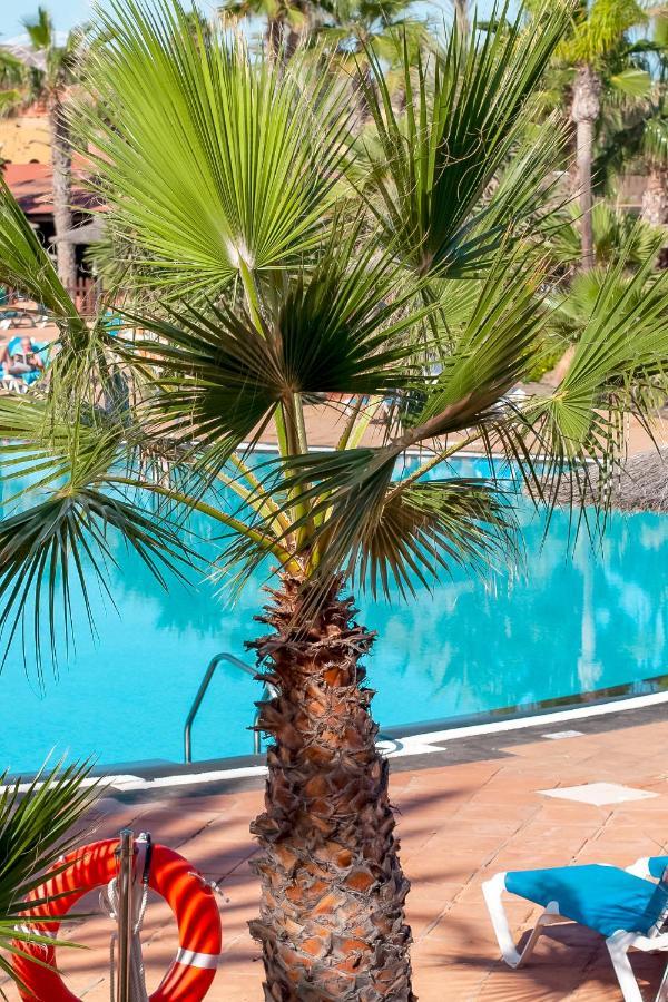 Fuerteventura Apartments Tamarindo 1 Corralejo Exteriér fotografie